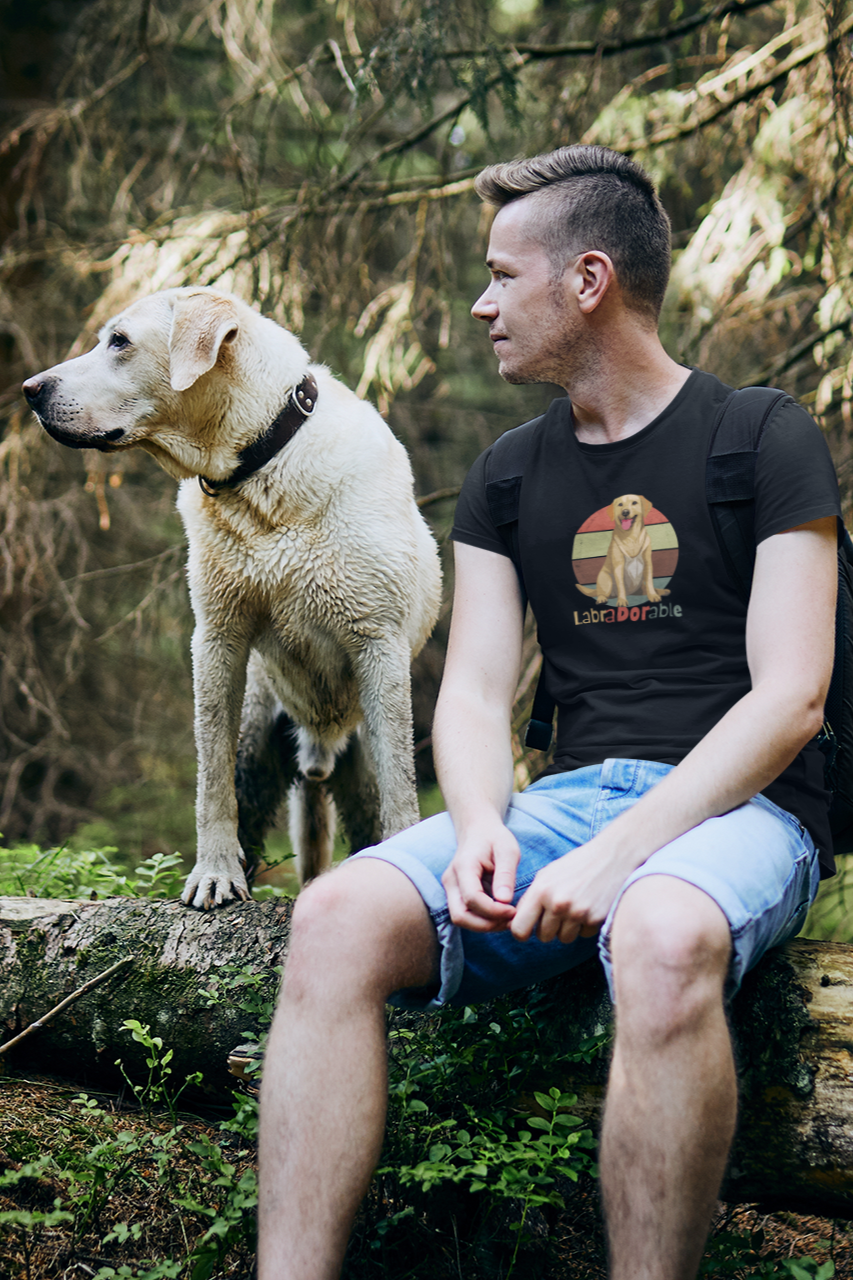 Pet Series: Labrador