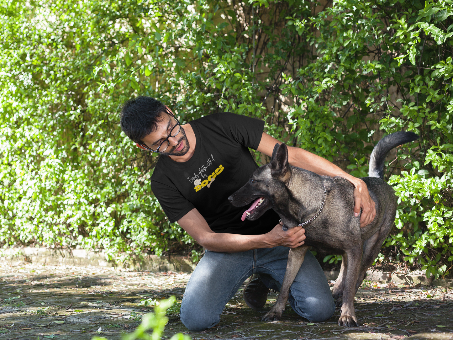 Pet Series: Distracted by Dogs