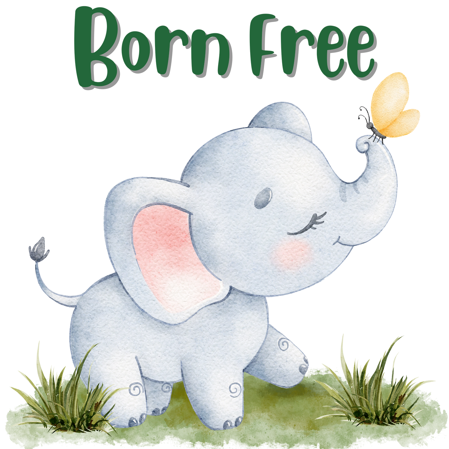 Born Free - Elephant