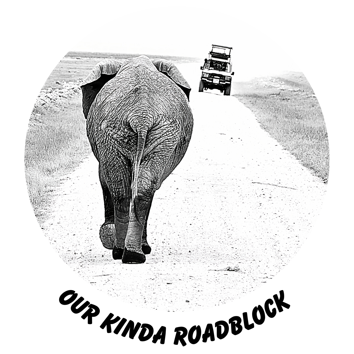 Safari Series: Elephant Roadblock