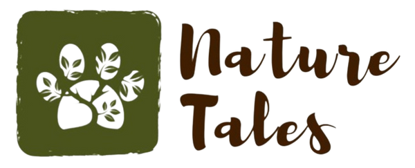 Nature Tales Outdoor Wear