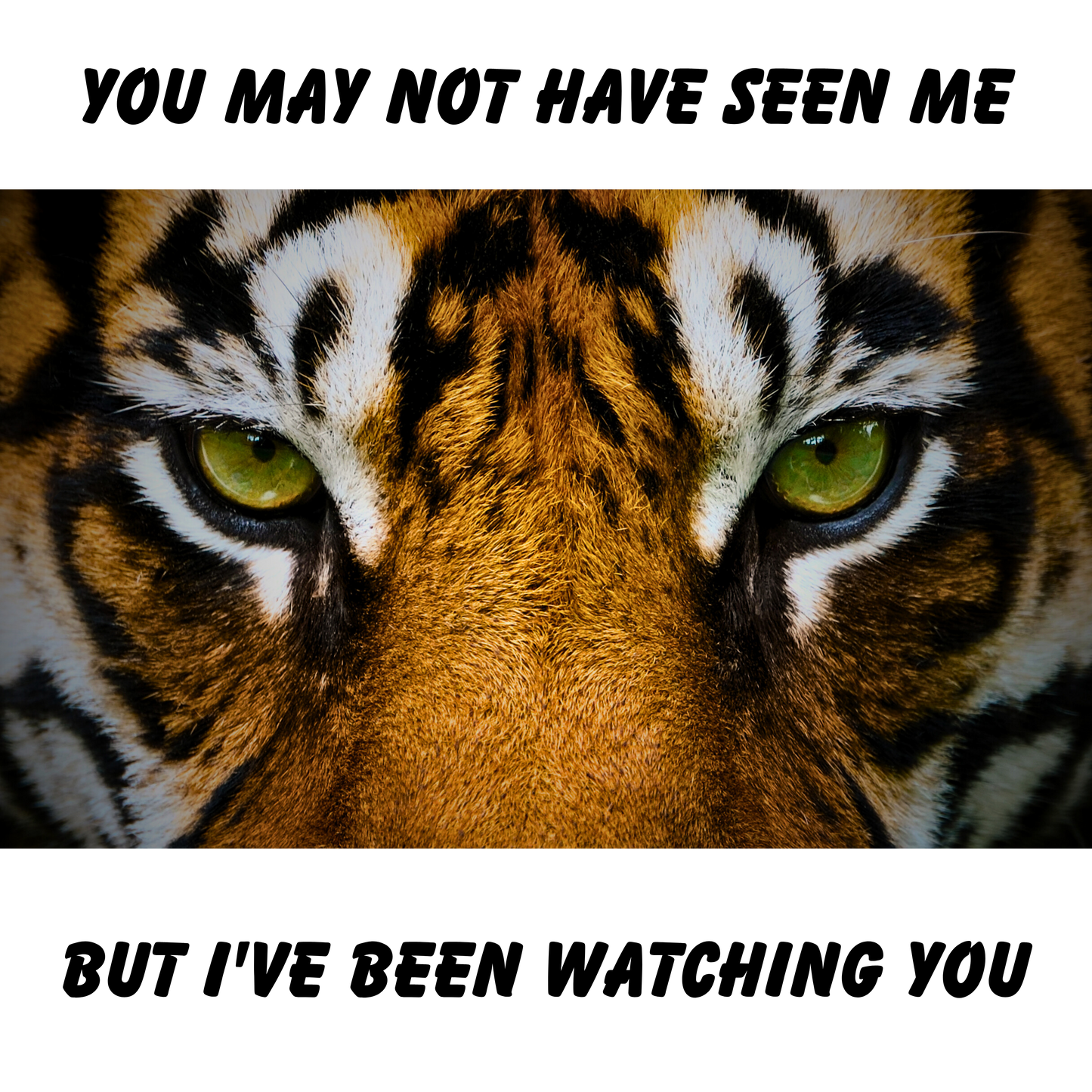 Safari Series: Tiger Watch Premium Unisex Hoodie