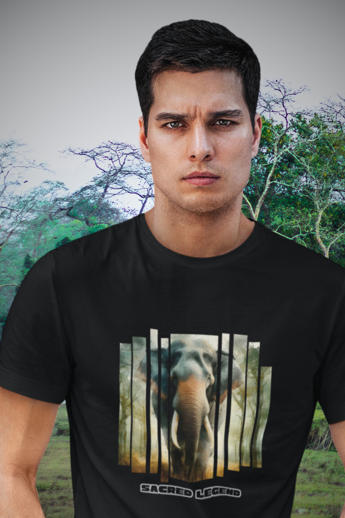 Wild India Series: Elephant